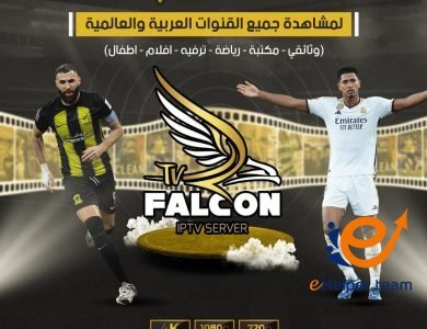 اكتشف مزايا اشتراك فالكون، هولك، وسمارترز: دليل كامل للاختيار الأفضل 8 مزايا اشتراك فالكون