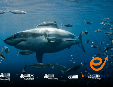 أفضل البرامج التعليمية