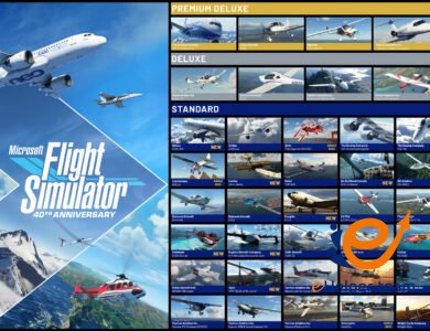 Microsoft Flight Simulator