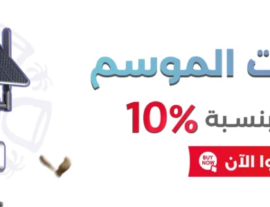 كاميرات هيك فيجن