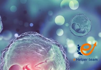 الدراسات العليا