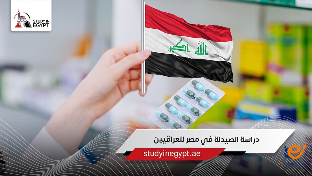 الدراسة في مصر