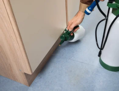 شركة مكافحة حشرات