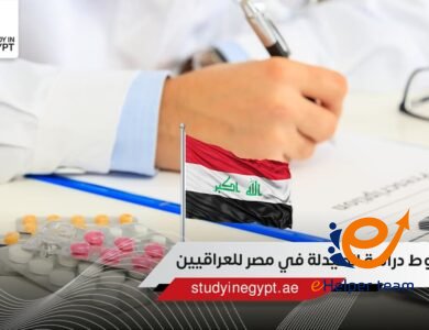 الدراسة في مصر