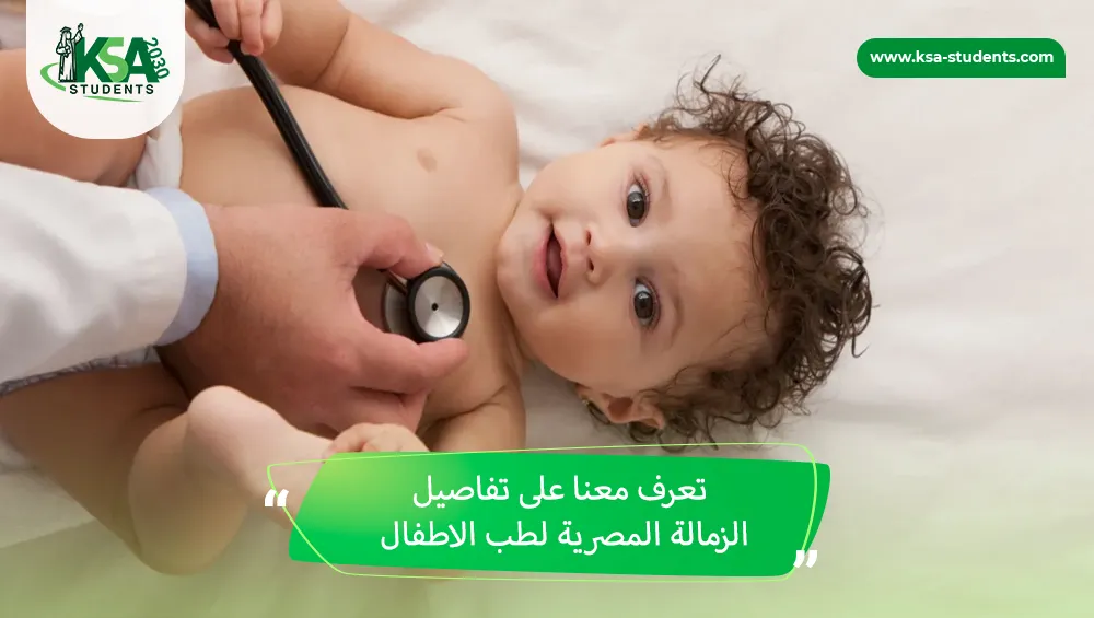 الدراسة في مصر