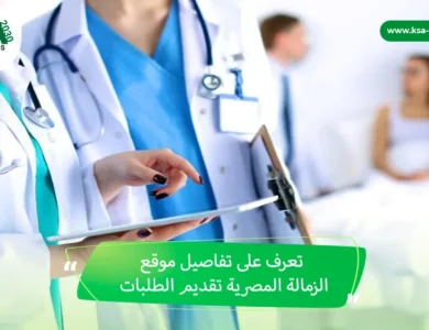 الدراسة في مصر